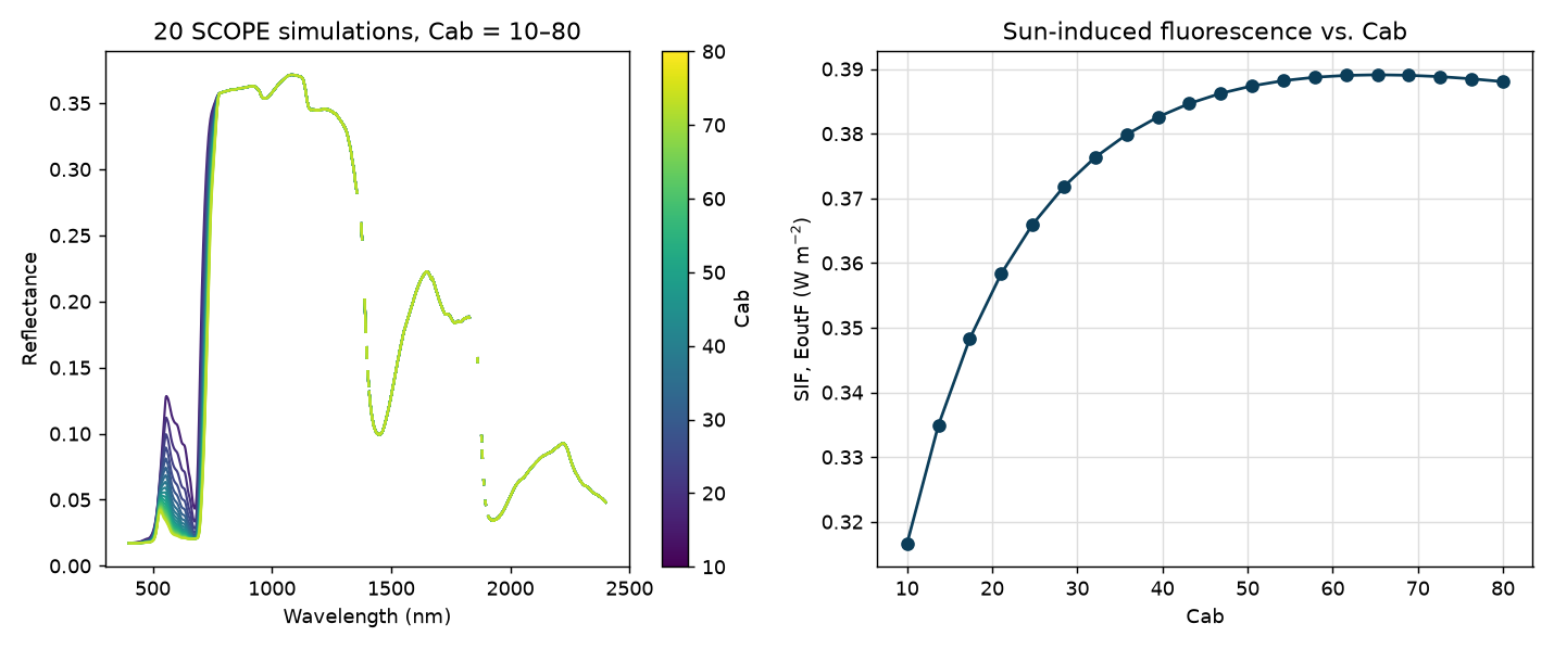 20 SCOPE simulations: reflectance spectra and sun-induced fluorescence vs. chlorophyll content