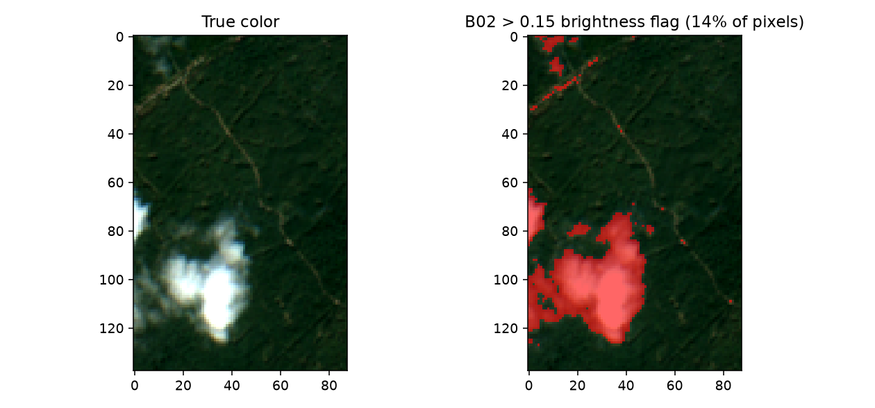 True color Sentinel-2 image and a brightness-based cloud flag