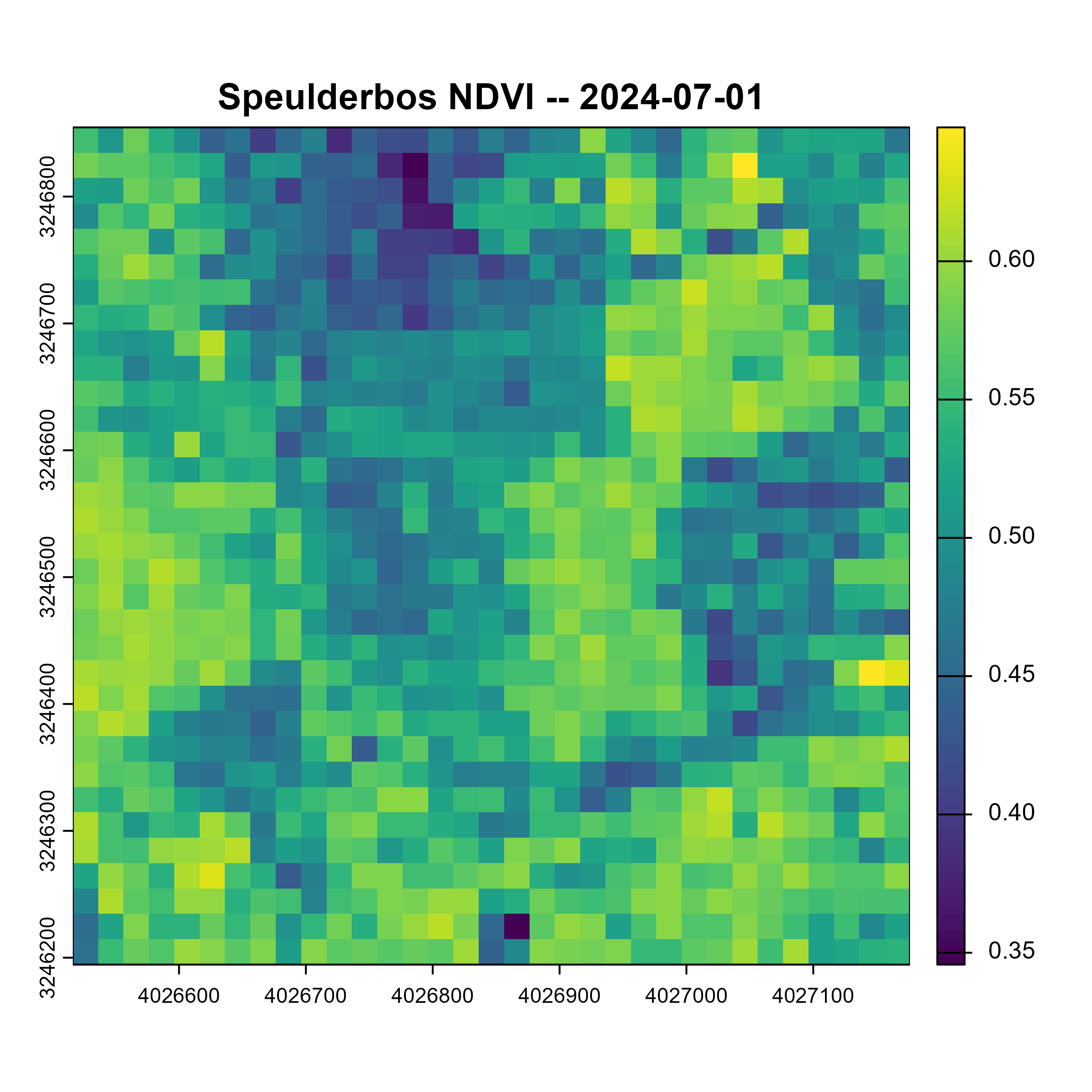 NDVI spatial map from a real Sentinel-2 scene over Speulderbos